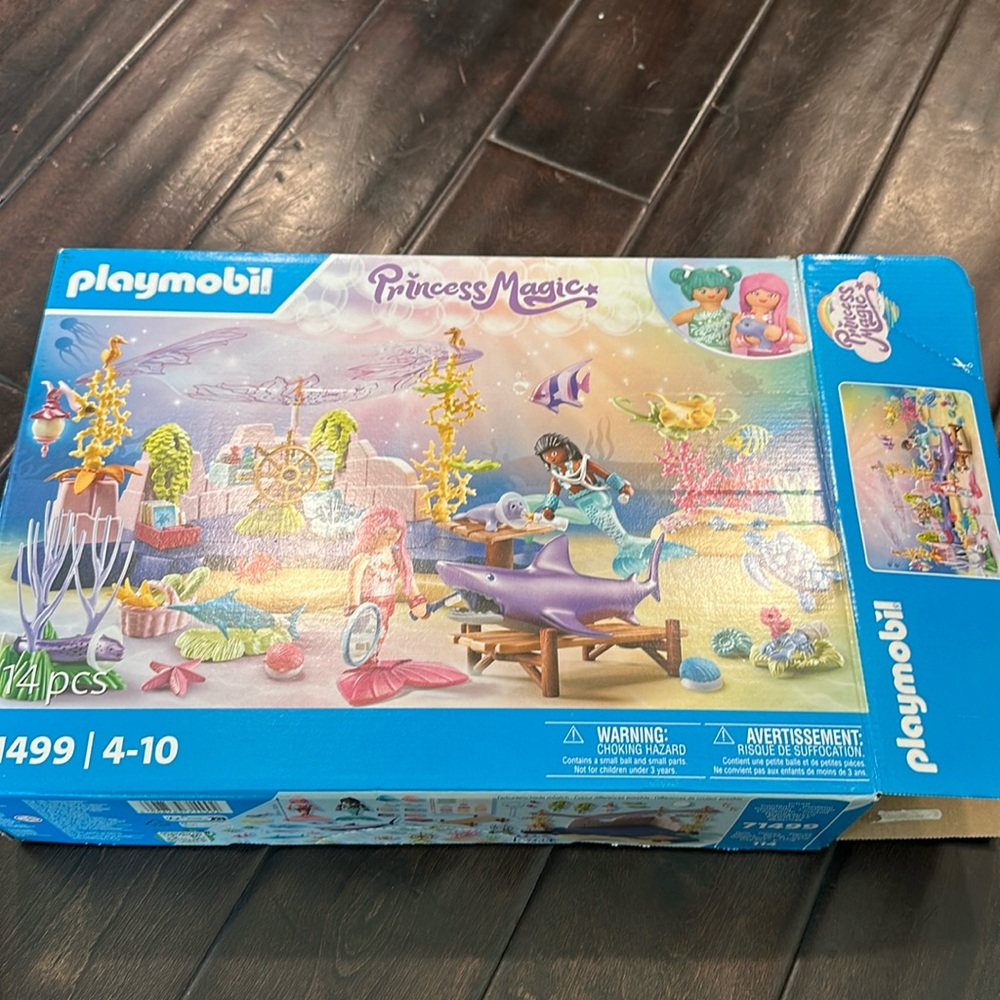 playmobil princess magic